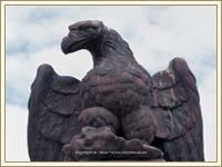 Summer Place - A experience to remember