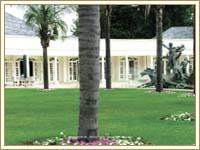 Summer Place - A experience to remember