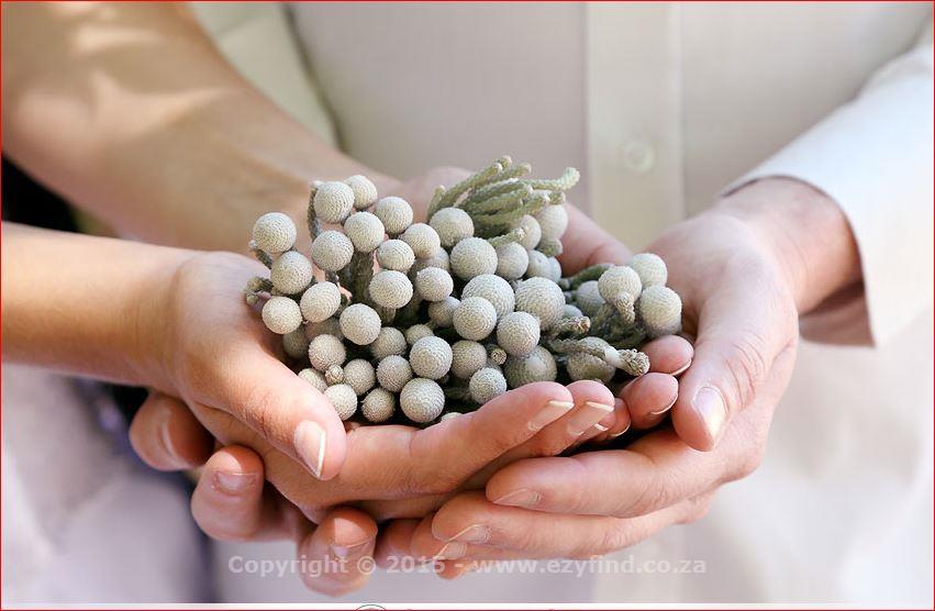 The Ultimate Photoshoot