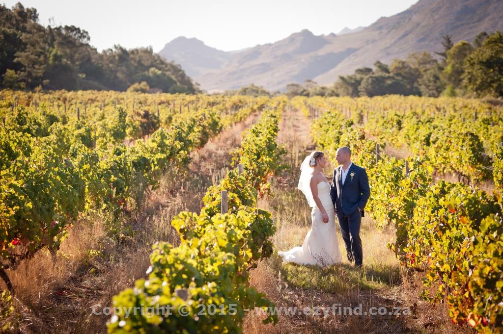 Charming Franschoek Venue