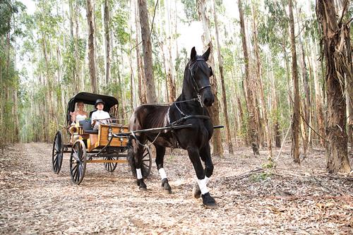 Elegant Country Epitomised - The Pefect Wedding Venue