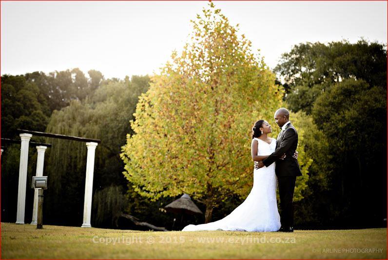 Elegantly capturing your special moments