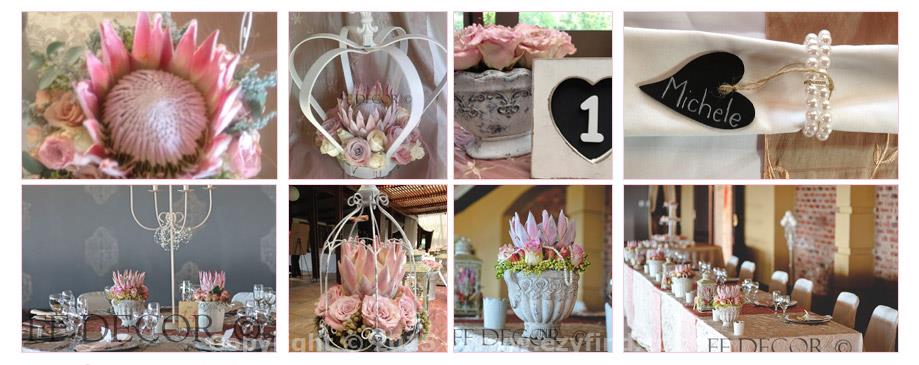 Magical Range of superior products