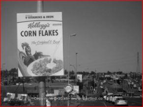 Moulded Dimensional Fibreglass Products