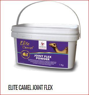 Innovative Animal Health