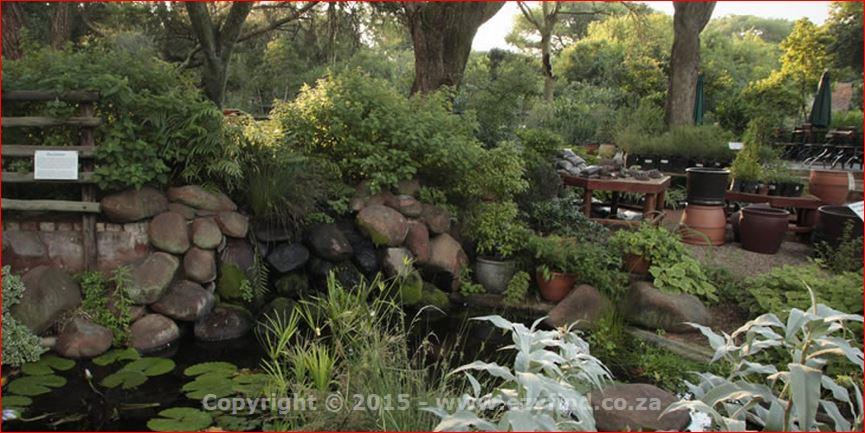 Conferencing in Lush Surroundings