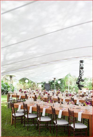 Wedding Planning Professional