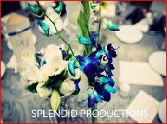 Creating Lecacies with Novello