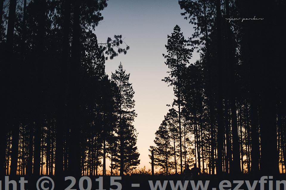 Fine Art Photographer