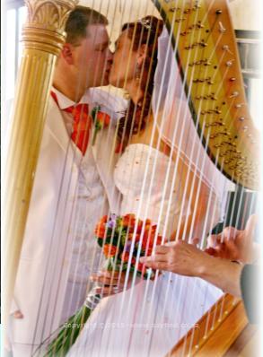 Professional Harpist for weddings or any occasion